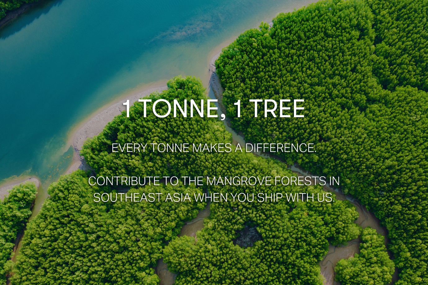 Cathay's ‘1 Tonne, 1 Tree’ banner ad