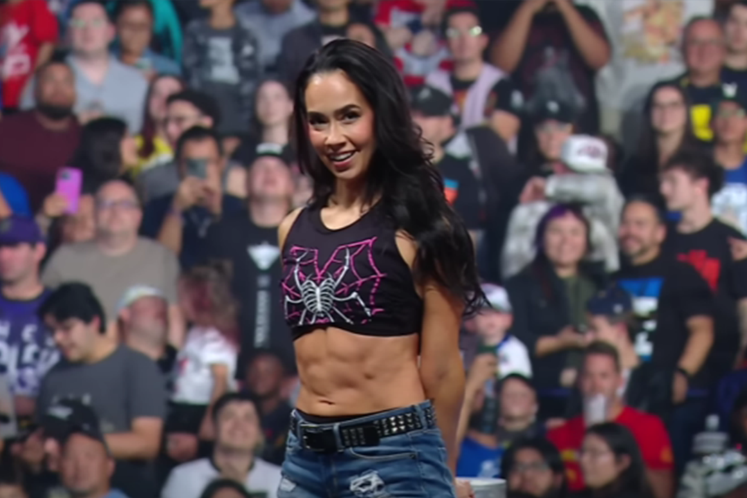 AJ Lee Return WWE Smackdown